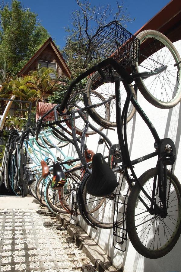 Casa Vitality Bed And Breakfast - Playa Guiones, Nosara - 4 Minute Walk To The Beach Ngoại thất bức ảnh