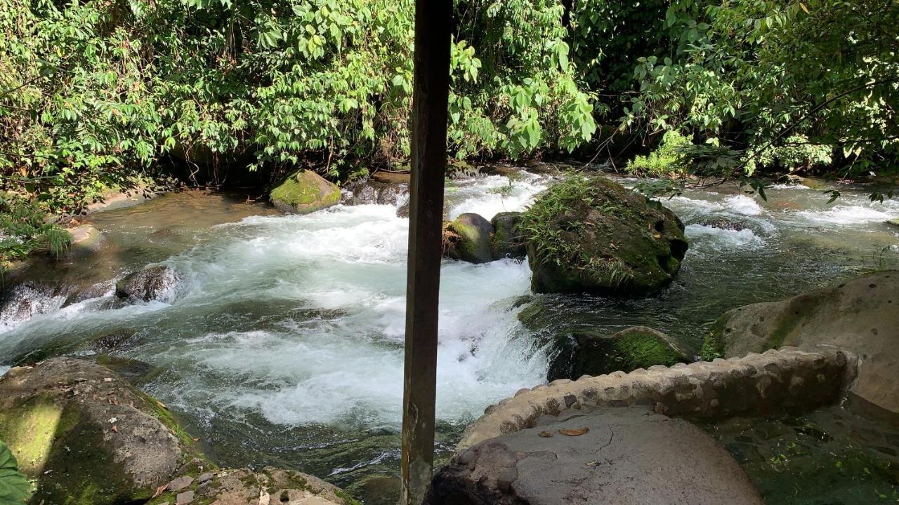 Casa Vitality Bed And Breakfast - Playa Guiones, Nosara - 4 Minute Walk To The Beach Ngoại thất bức ảnh